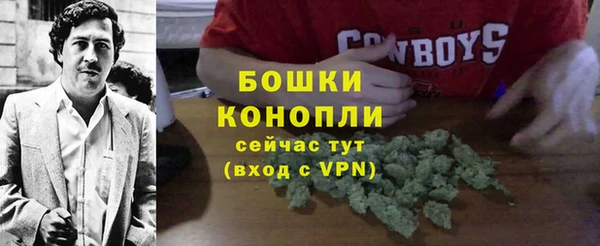 гидра Вяземский
