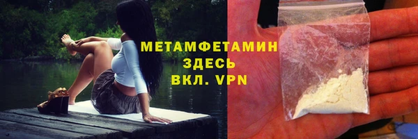 гидра Вяземский