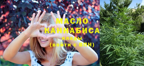 гидра Вяземский