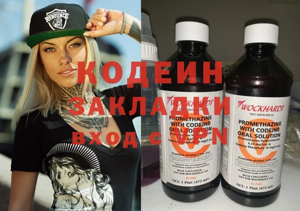 гидра Вяземский