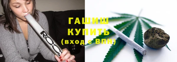 гидра Вяземский