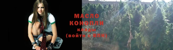 гидра Вяземский