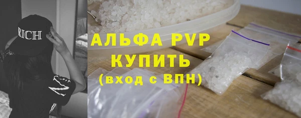гидра Вяземский
