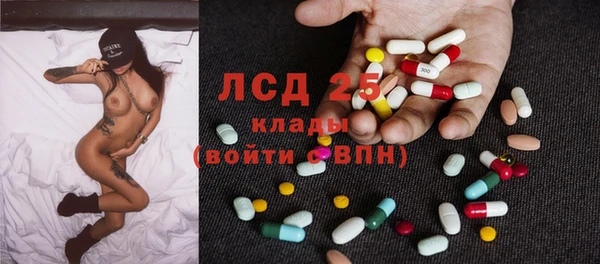 гидра Вяземский