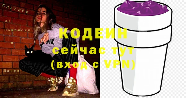 гидра Вяземский