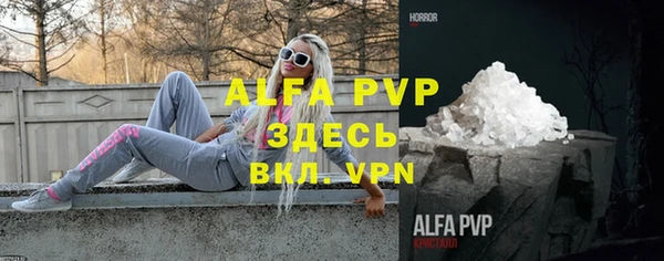 гидра Вяземский