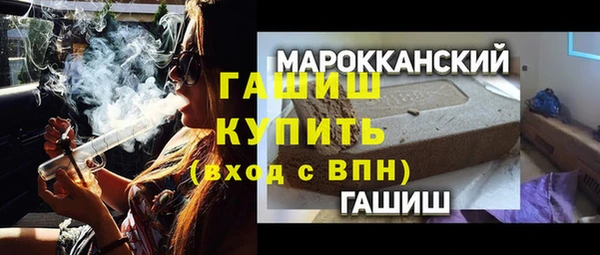 гидра Вяземский