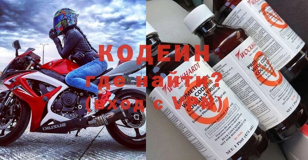 гидра Вяземский