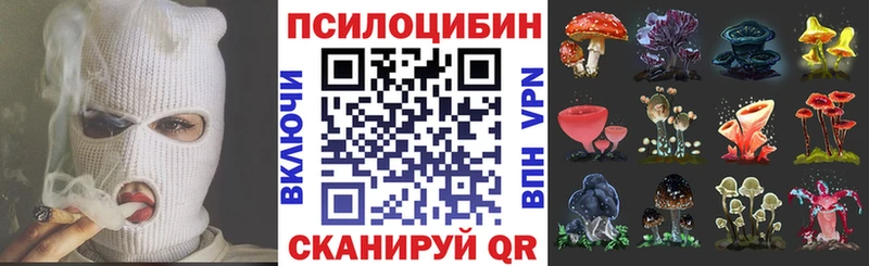 Купить закладки  Кунгур  Псилоцибиновые грибы мицелий 